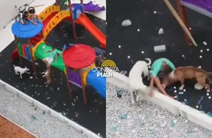 SP: crianças são atacadas por pitbulls enquanto brincavam em parquinho (Foto: Reprodução)