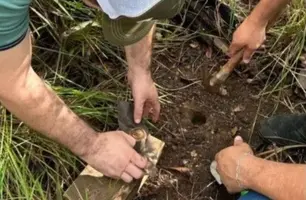 Uespi realiza pesquisa inédita para quantificação de carbono no Cerrado piauiense (Foto: Reprodução)