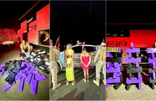 Ação da Polícia Militar do Piauí resulta na apreensão de 66 tabletes de maconha na BR-020 (Foto: Reprodução)