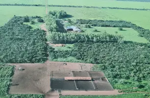 Área invadida por grilheiros (Foto: Reprodução)