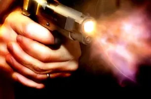 Arma de fogo (Foto: Reprodução)