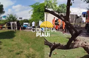 Caminhão carregado de cerveja tomba no Tancredo Neves (Foto: Reprodução)