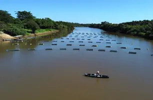 Codevasf investe R$ 2 milhões em equipamentos para fortalecer piscicultura no PI (Foto: Reprodução)