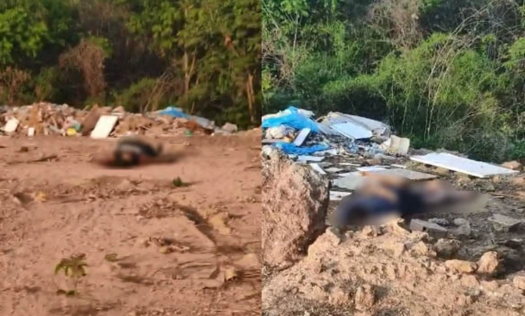 Corpos de homem e mulher trans são encontrados em terreno baldio em Teresina