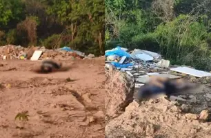 Corpos de homem e mulher trans são encontrados em terreno baldio em Teresina (Foto: Reprodução)