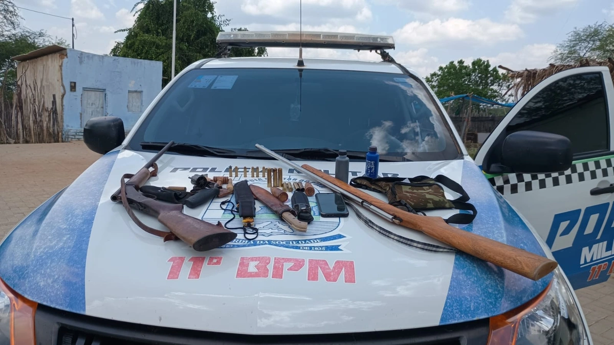 Homem é preso com diversas armas de fogo, munições e armas brancas no Piauí