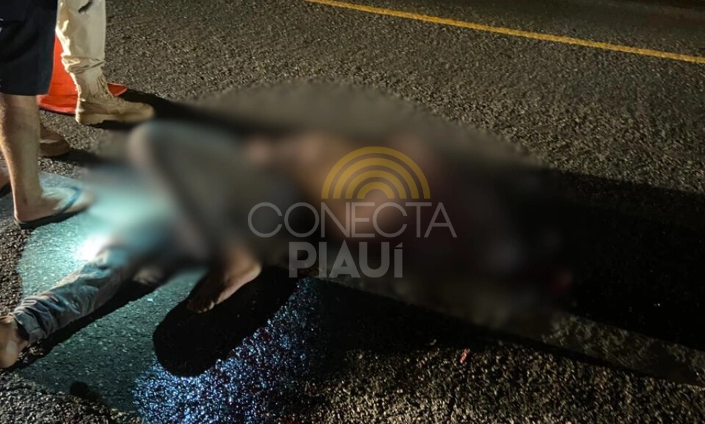 Homem supostamente alcoolizado morre enquanto estava deitado em rodovia no Piauí
