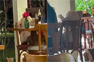 Mulher é vista em 'jantar romântico' com elefante de pelúcia em Luís Correia (Foto: Reprodução)