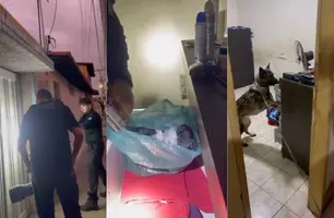 Operação DENARC 66 (Foto: Reprodução)