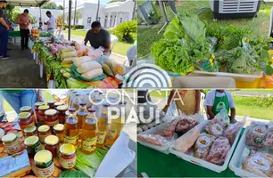 SAF realiza nova edição da Quitanda da Agricultura Familiar no Palácio de Karnak (Foto: Conecta Piauí)