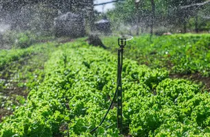 Sistemas de irrigação distribuídos pela SAF beneficiam mais de 2,6 mil famílias (Foto: Reprodução)
