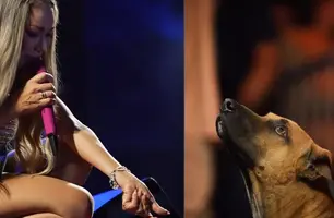 Taty Girl adota cachorro caramelo após encontro inusitado em show no Piauí (Foto: Reprodução)