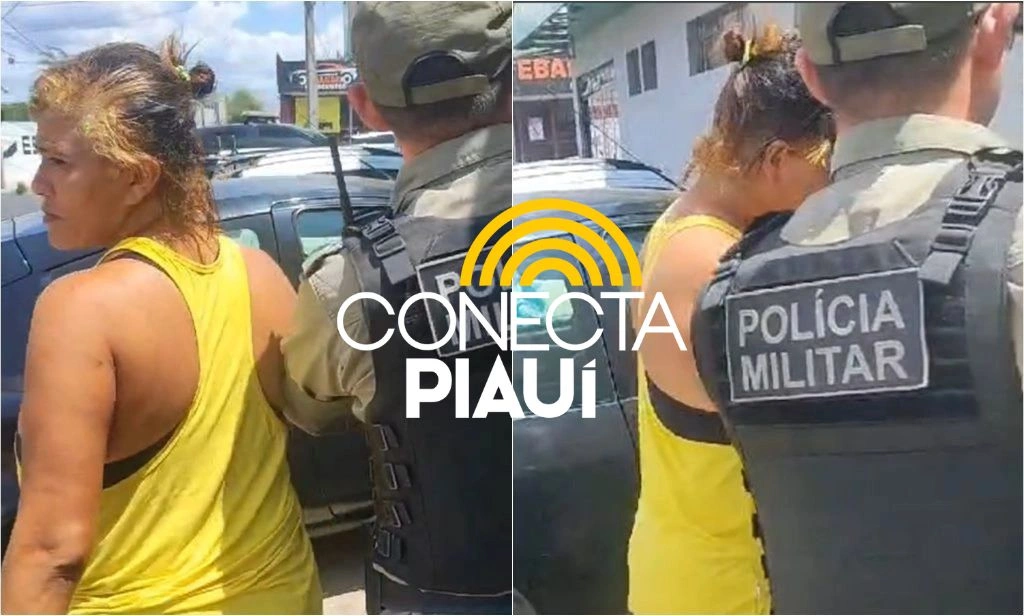 Tia é presa após tentar esfaquear sobrinho e quebrar medida protetiva em Teresina