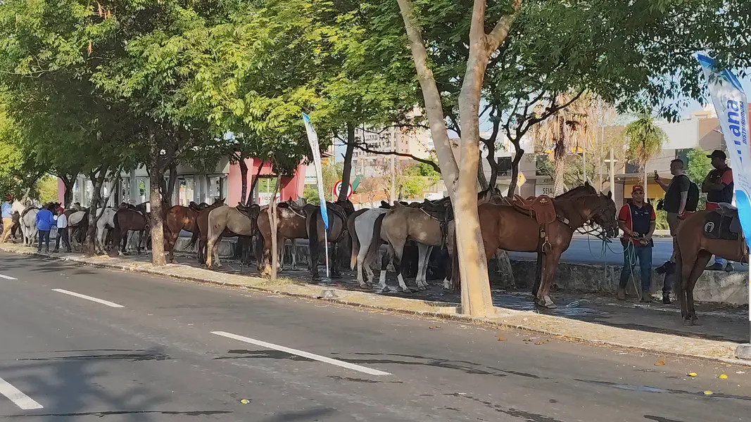 Tradicional cavalgada marca a abertura da 73ª edição da Expoapi em Teresina
