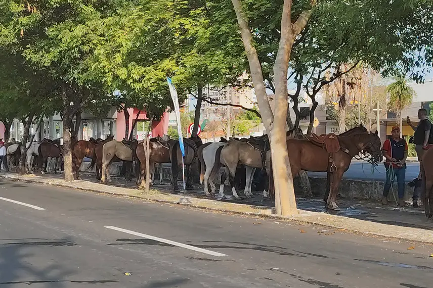 Tradicional cavalgada marca a abertura da 73ª edição da Expoapi em Teresina Tradicional cavalgada marca a abertura da 73ª edição da Expoapi em Teresina