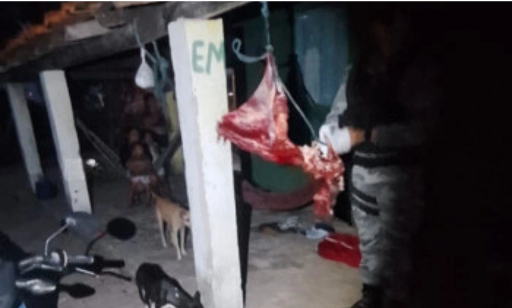 Trio é preso suspeito de roubo e abate clandestino de animais no litoral do Piauí