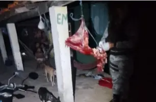 Trio é preso suspeito de roubo e abate clandestino de animais no litoral do Piauí (Foto: Divulgação/PMPI)