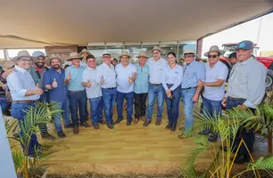 Valor da produção agrícola do Piauí registra crescimento superior a 380% (Foto: Reprodução)