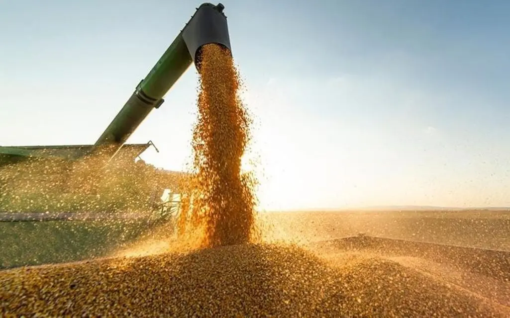 Valor da produção agrícola do Piauí registra crescimento superior a 380%