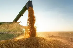 Valor da produção agrícola do Piauí registra crescimento superior a 380% (Foto: Reprodução)