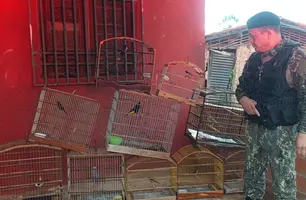 Animais resgatados (Foto: Divulgação/SSP)