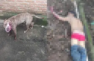 Bandido fica gravemente ferido após ser atacado por pitbull durante assalto (Foto: Reprodução)