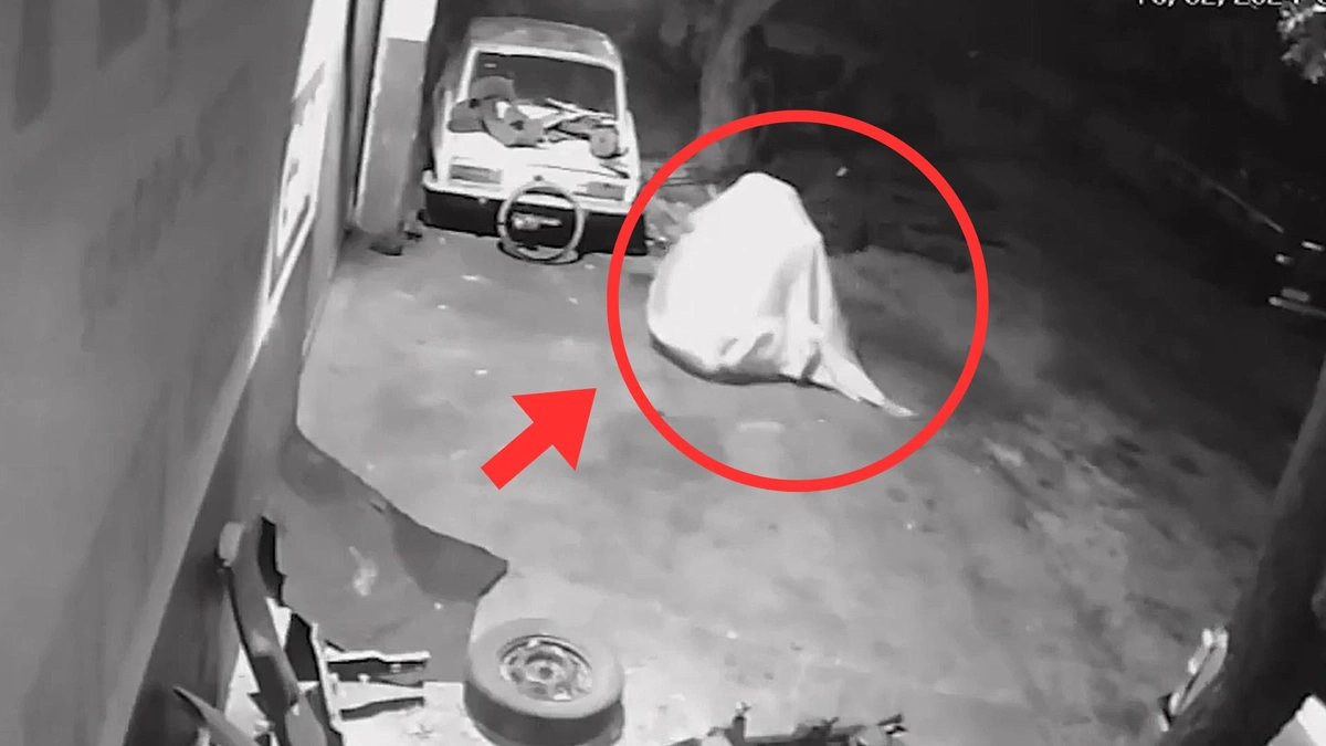 Câmeras de segurança mostram 'Fantasma' furtando loja de peças automotivas