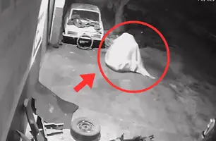 Câmeras de segurança mostram 'Fantasma' furtando loja de peças automotivas (Foto: Reprodução)