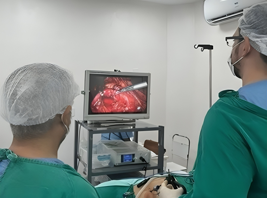 Cirurgia Pieloplastia videolaparoscópica