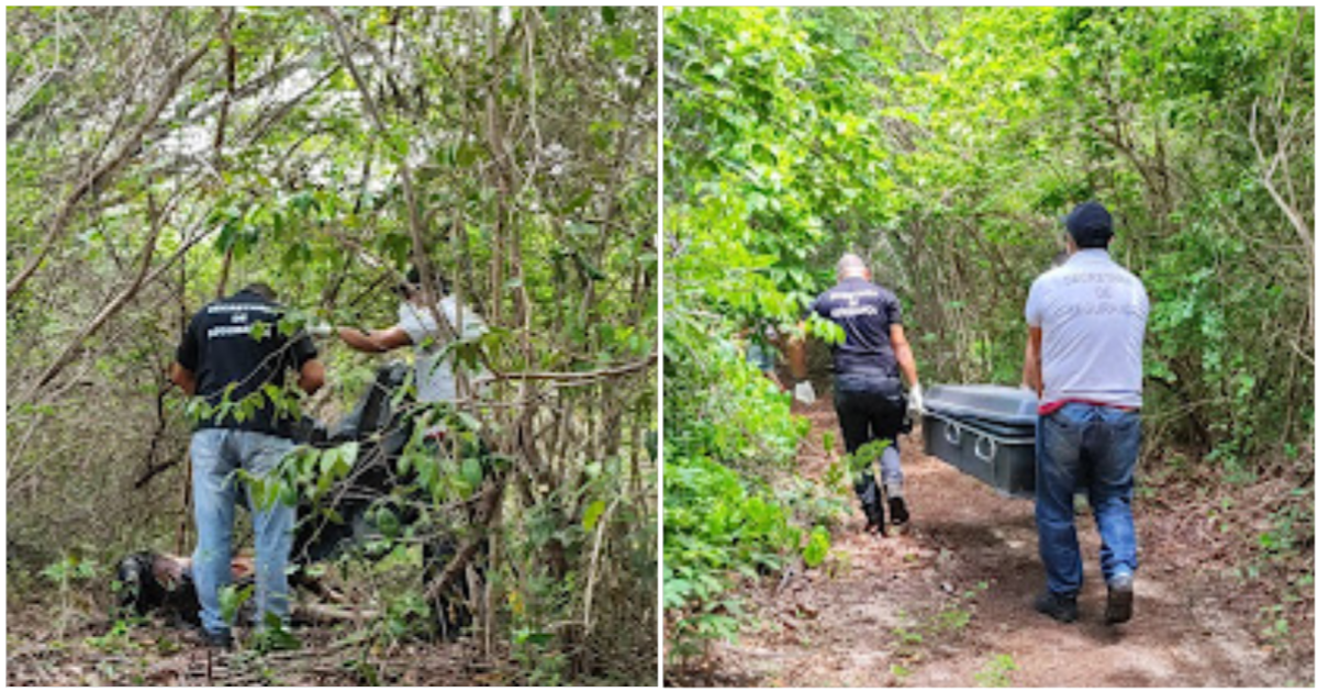 Corpo De Homem Decapitado E Carbonizado Encontrado Em Lu S Correia Conecta Piau