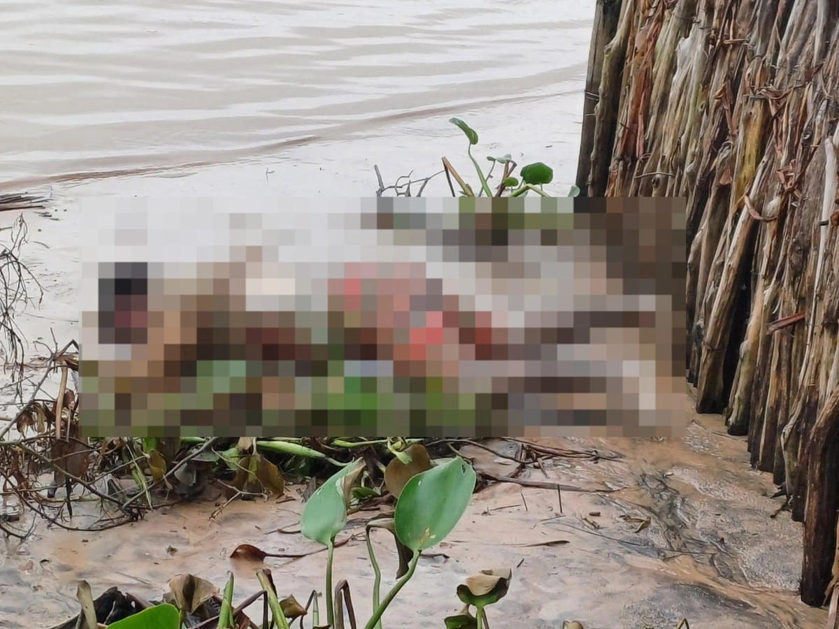 Corpo de pescador que caiu de canoa é encontrado às margens de rio em Parnaíba