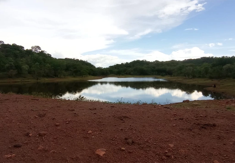 Corpos das vítimas de afogamento em Santa Cruz dos Milares são encontrados