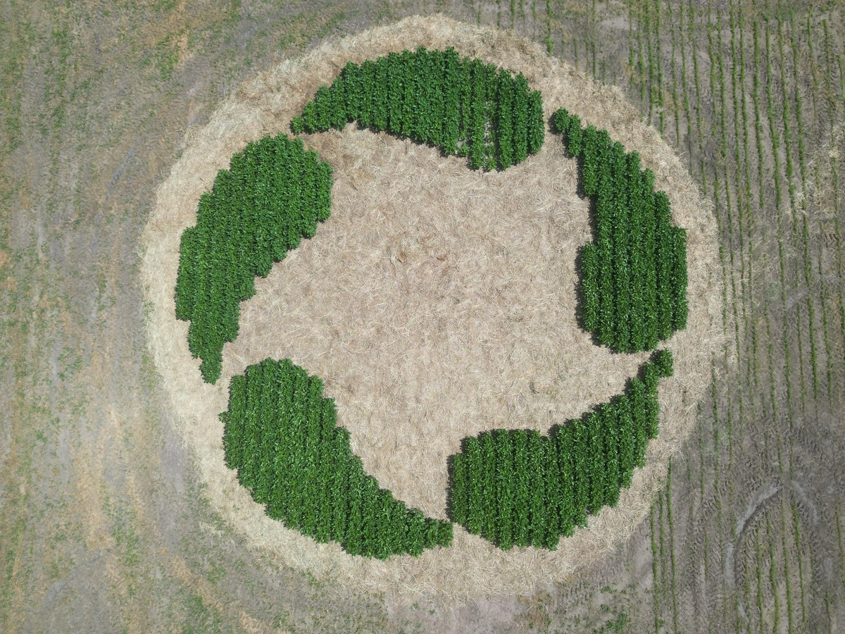 Dia de Campo Progresso Sementes reúne quase 4 mil pessoas em fazenda do Piauí