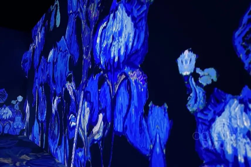 Exposição Van Gogh & Impressionistas