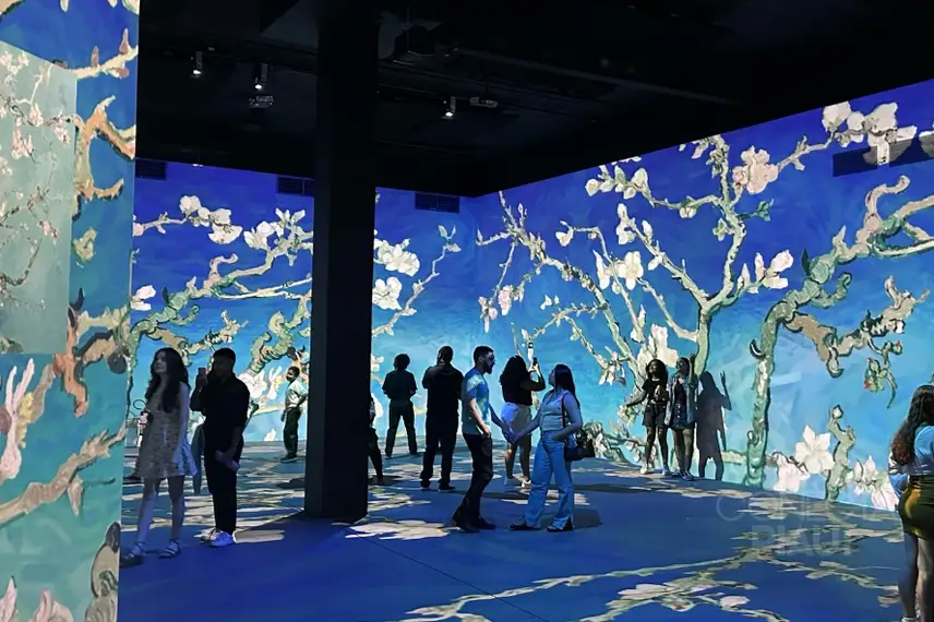 Exposição Van Gogh & Impressionistas