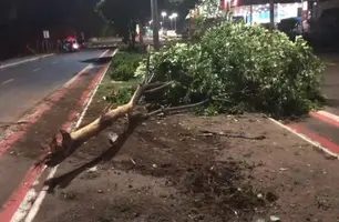 Família fica ferida após carro bater em árvore em Timon (Foto: Reprodução)
