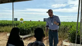 Fazenda Progresso realiza Dia de Campo e recebe autoridades e produtores (Foto: Stefanny Sales / Conecta Piauí)