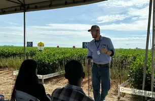 Fazenda Progresso realiza Dia de Campo e recebe autoridades e produtores (Foto: Stefanny Sales / Conecta Piauí)