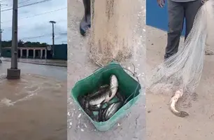 Homem pesca peixes em avenida alagada durante forte chuva em Teresina (Foto: Reprodução)