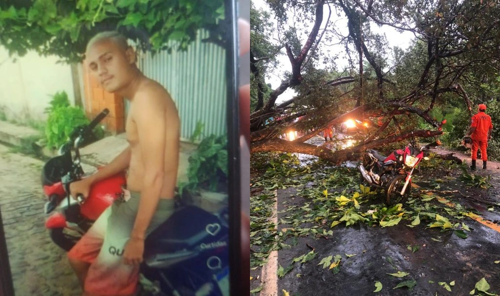 Jovem morre em colisão contra árvore que caiu após forte chuva em Teresina