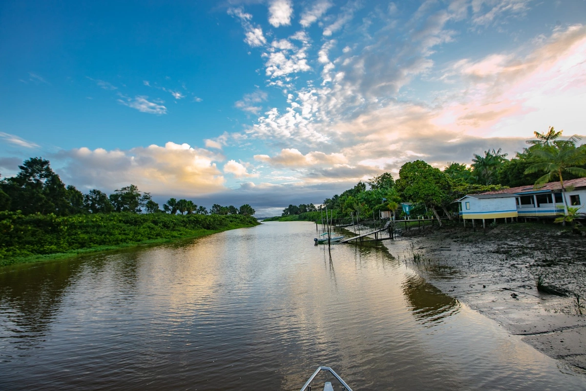 Mecanismo financeiro Amazônia Viva entra em operação com aporte de R$ 12 milhões