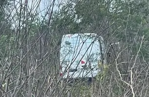 Motorista de van joga veículo em mata para evitar acidente (Foto: José Fernando)