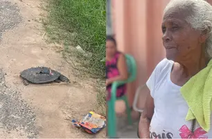 População denuncia falta de sinalização e morte de animais silvestres em Teresina (Foto: Reprodução)