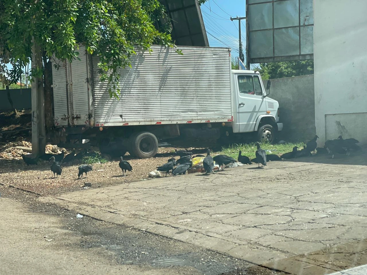 Reforma do Mercado do Peixe se arrasta há 17 meses e atraso causa transtornos