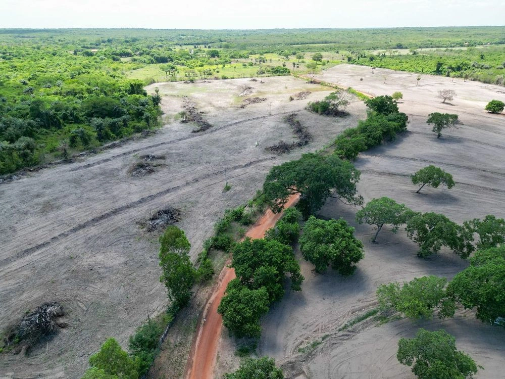 Título: Fiscalização da Semarh identifica 36 alertas de desmatamento no norte do Piauí