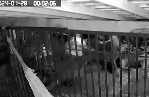 Vídeo registra o momento em que homem mata seu sogro a tiros em Demerval Lobão (Foto: Reprodução)