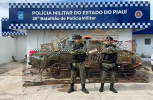 Batalhão Ambiental apreende 50 aves silvestres em município do Piauí (Foto: Divulgação)