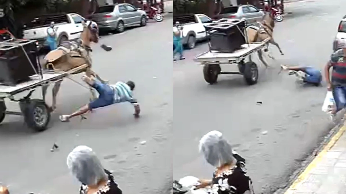 Burro se assusta, sai em disparada e homem é arremessado de carroça