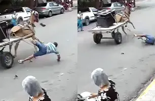 Burro se assusta, sai em disparada e homem é arremessado de carroça (Foto: Reprodução)