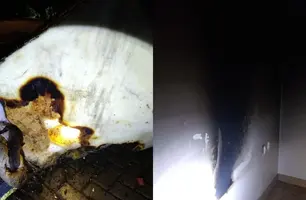 Celular pega fogo carregando e incendeia casa; morador teve que ser hospitalizado (Foto: Divulgação)